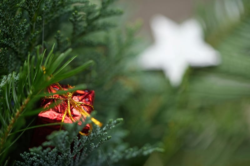 Green Gift Ideas